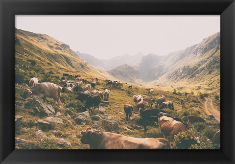 Framed In the Valley Print