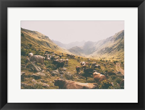 Framed In the Valley Print