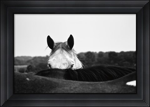 Framed Flirt Print