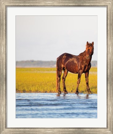 Framed By the River Print