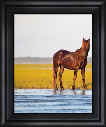 Framed By the River Print