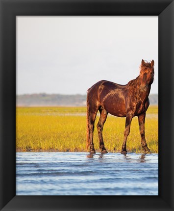 Framed By the River Print