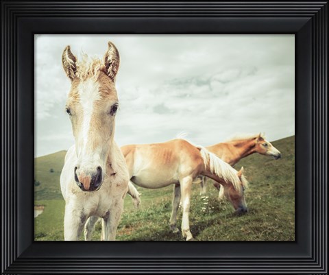 Framed Three Buddies Print