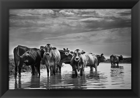 Framed In the River Print