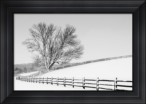 Framed Along the Lane II Print
