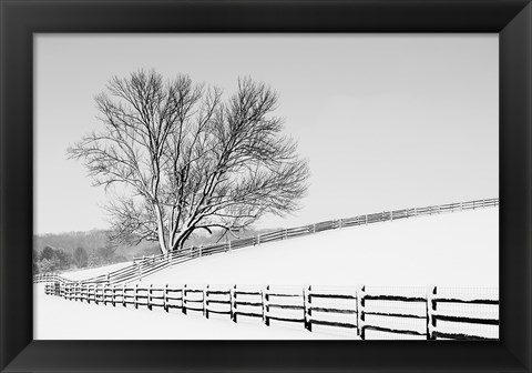 Framed Along the Lane II Print