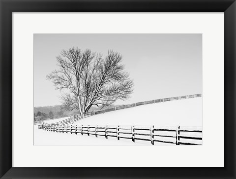 Framed Along the Lane II Print