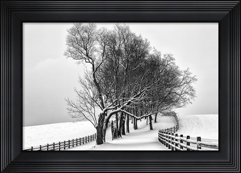 Framed Along the Lane I Print
