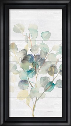 Framed Eucalyptus III on Shiplap Crop Print