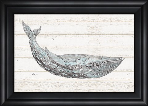 Framed Underwater Life I Blue Print