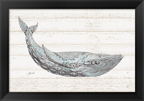 Framed Underwater Life I Blue Print