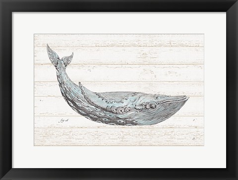 Framed Underwater Life I Blue Print