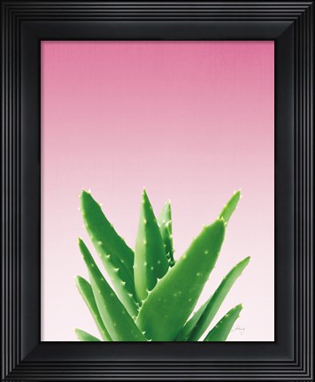 Framed Succulent Simplicity V Pink Ombre Crop Print