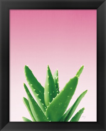 Framed Succulent Simplicity V Pink Ombre Crop Print