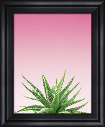Framed Succulent Simplicity I Pink Ombre Crop Print