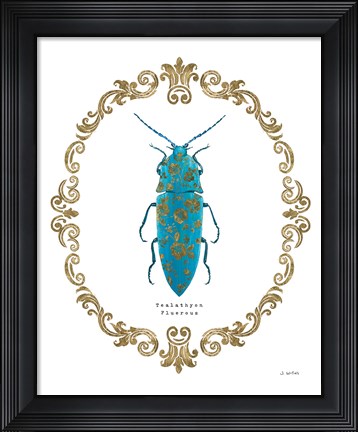 Framed Adorning Coleoptera VIII Print