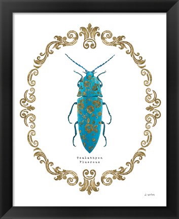 Framed Adorning Coleoptera VIII Print