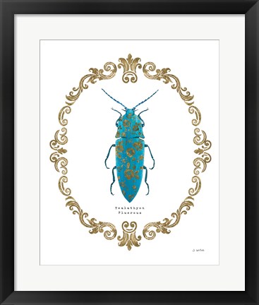 Framed Adorning Coleoptera VIII Print