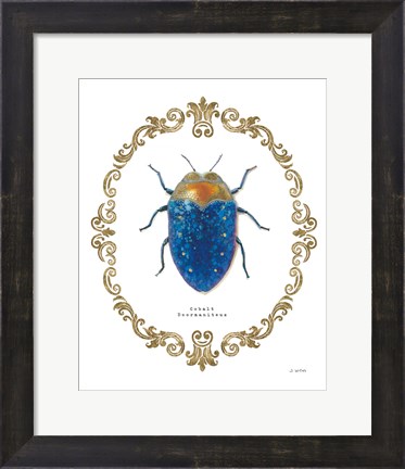 Framed Adorning Coleoptera V Print