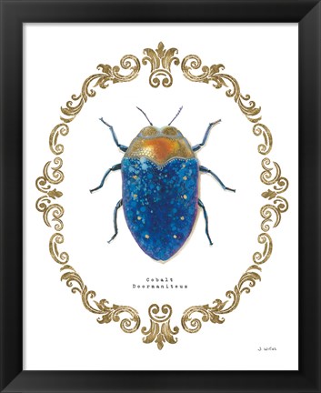 Framed Adorning Coleoptera V Print