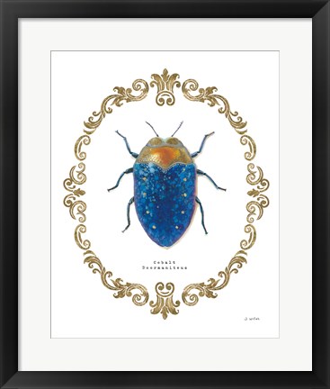 Framed Adorning Coleoptera V Print