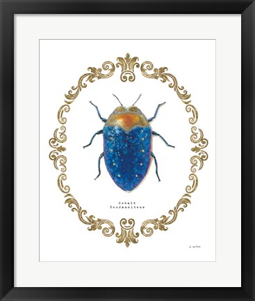 Framed Adorning Coleoptera V Print