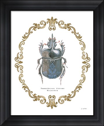 Framed Adorning Coleoptera IV Print