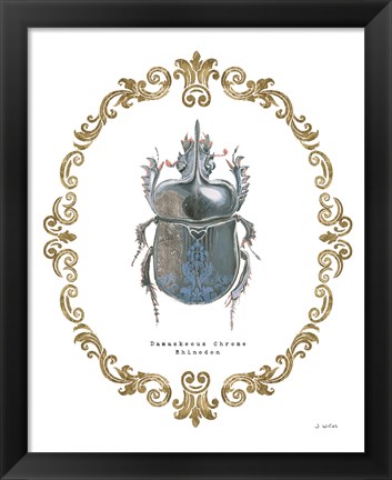 Framed Adorning Coleoptera IV Print