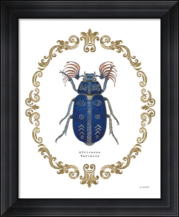 Framed Adorning Coleoptera III Print