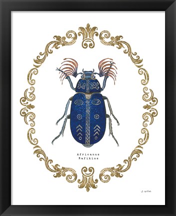 Framed Adorning Coleoptera III Print