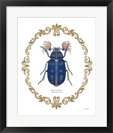 Framed Adorning Coleoptera III Print