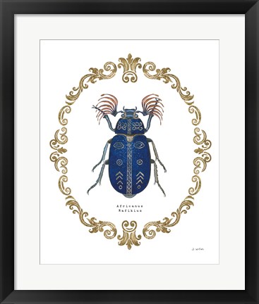 Framed Adorning Coleoptera III Print