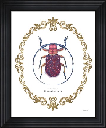 Framed Adorning Coleoptera II Print