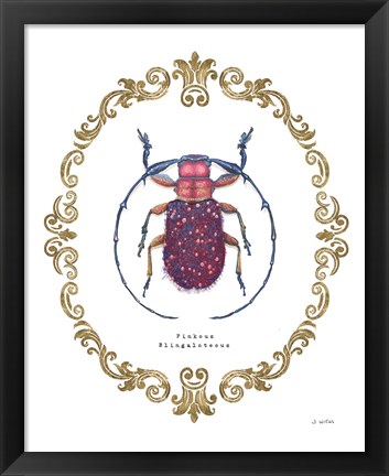 Framed Adorning Coleoptera II Print