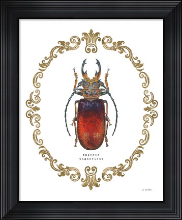 Framed Adorning Coleoptera I Print