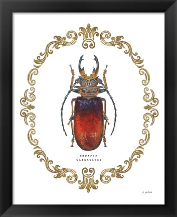 Framed Adorning Coleoptera I Print