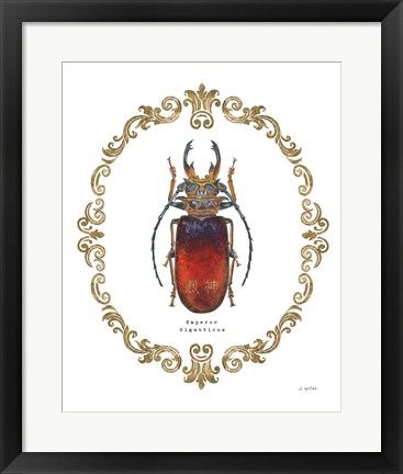 Framed Adorning Coleoptera I Print