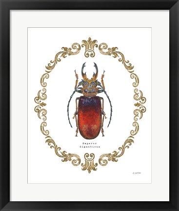 Framed Adorning Coleoptera I Print