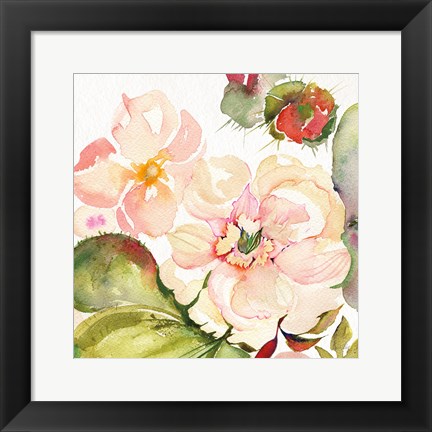 Framed Desert Rose III Print