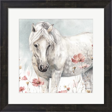 Framed Wild Horses V Print