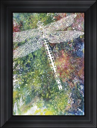 Framed Dragonfly Print