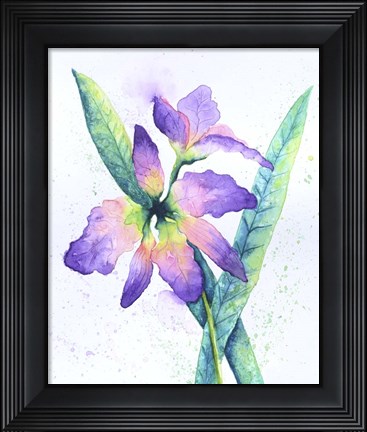 Framed Purple Orchid Print