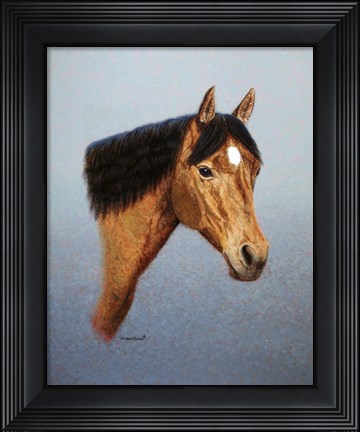 Framed Horse Print