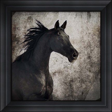 Framed Gypsy Horse Collection V1 4 Print