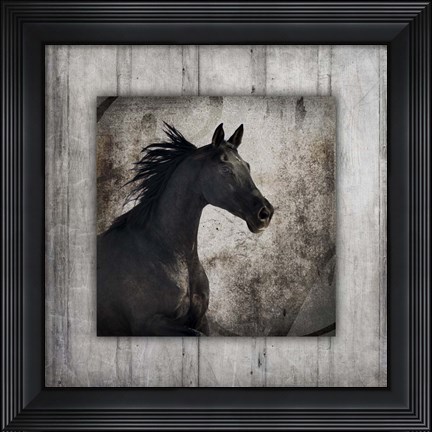 Framed Gypsy Horse Collection V1 5 Print
