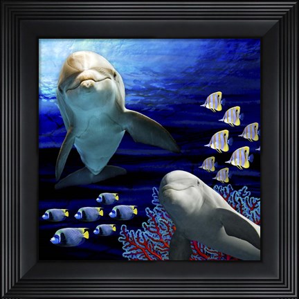 Framed Sea Creatures Dolphines Print
