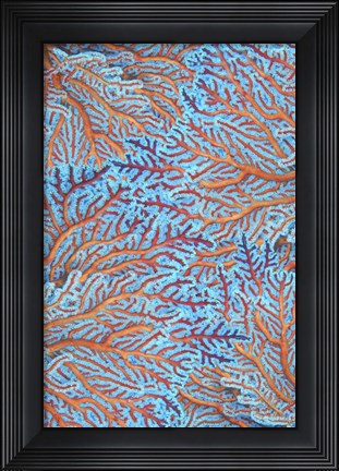 Framed Sea Creatures Surface Pattern 1 Print