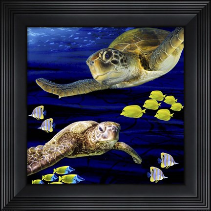 Framed Sea Creatures Turtle Print