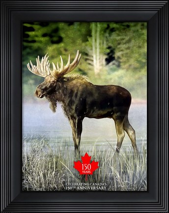 Framed Moose Canada 150th Anniversary Print