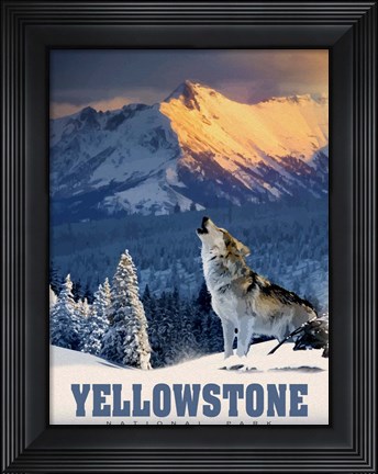 Framed Yellowstone Wolf Print